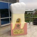 Tishk International University | Faculty of Dentistry