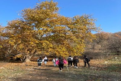 Tishk International University | Faculty of Dentistry