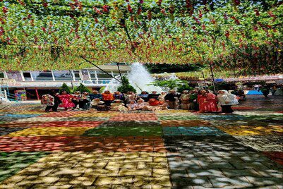 Tishk International University | Faculty of Dentistry