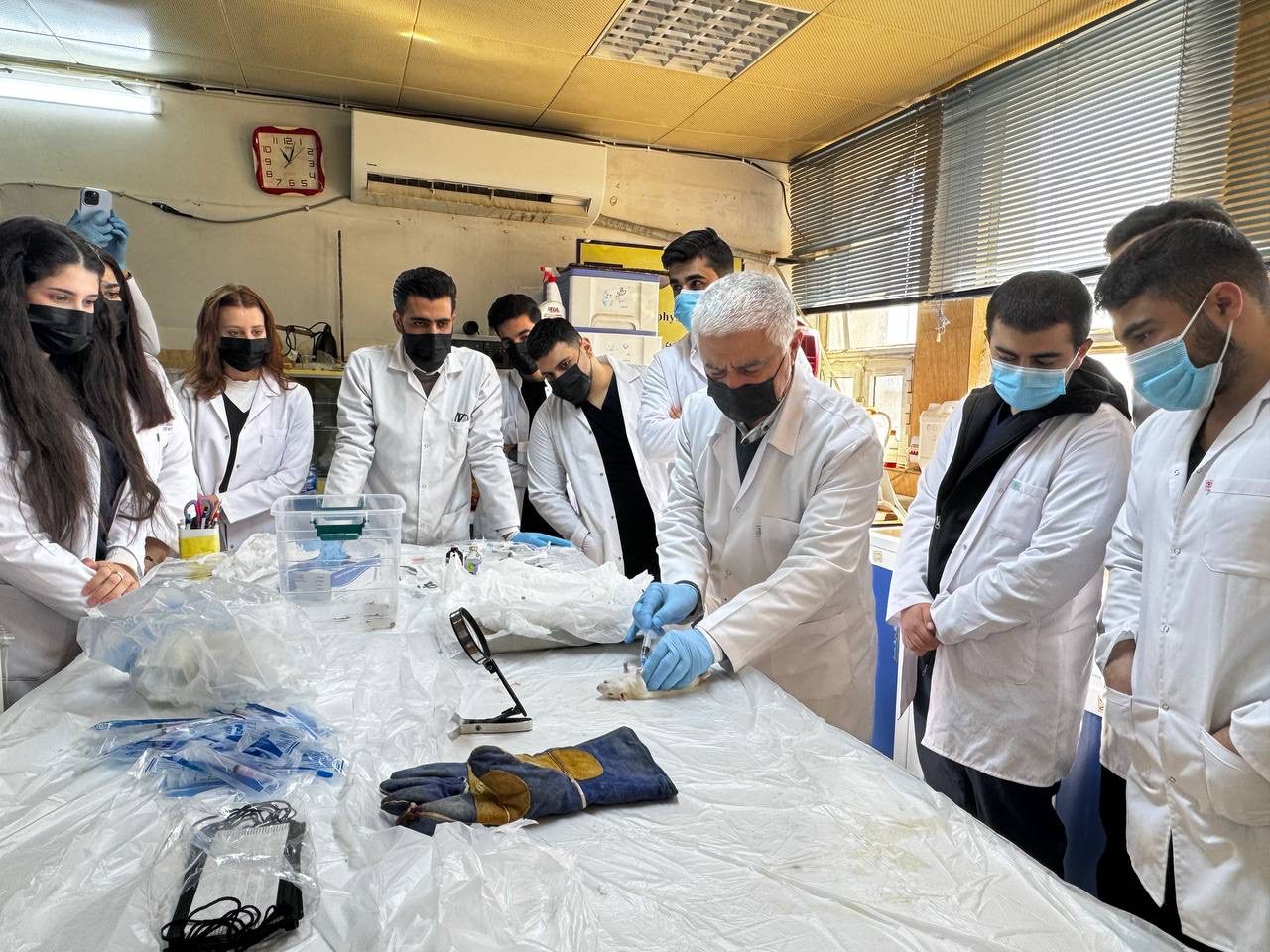 Tishk International University | Faculty of Dentistry