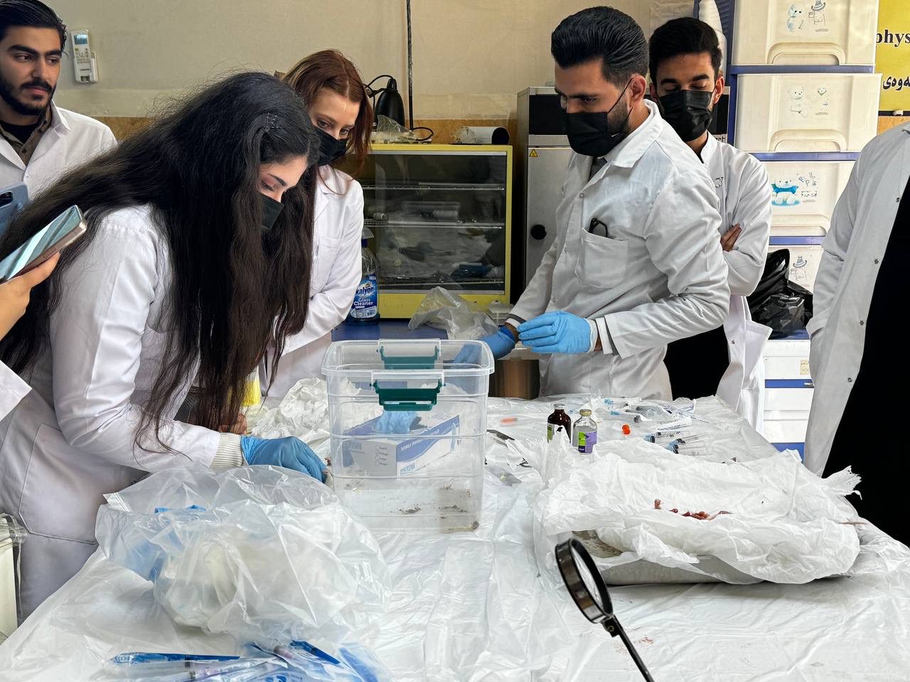 Tishk International University | Faculty of Dentistry