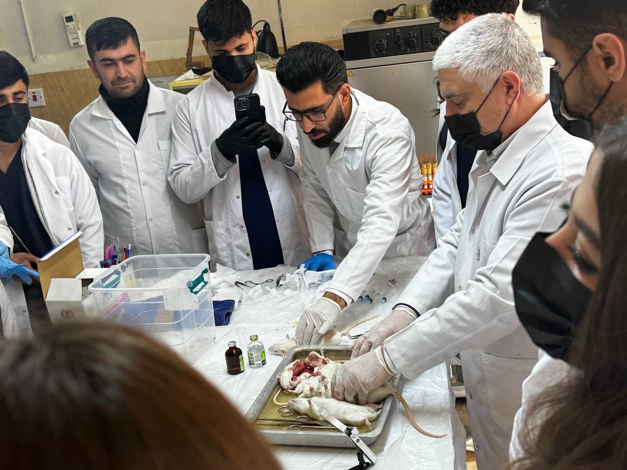 Tishk International University | Faculty of Dentistry